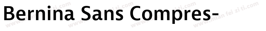 Bernina Sans Compres字体转换